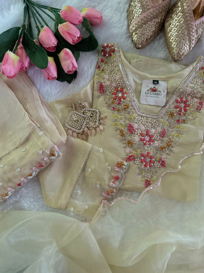Elegant Embroidered Kurta Set