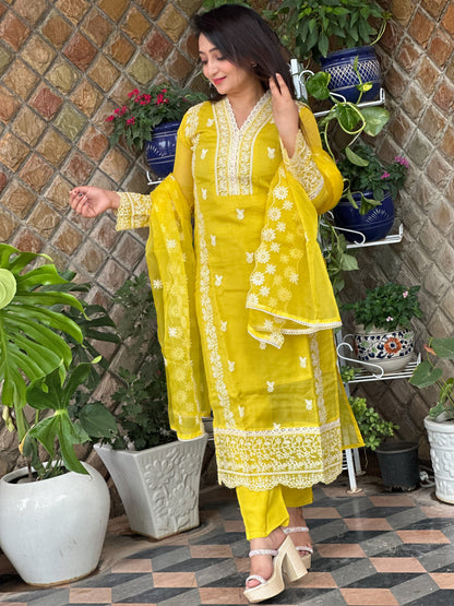 Yellow Organza Embroidered Suit Set