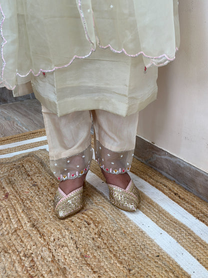 Elegant Embroidered Kurta Set