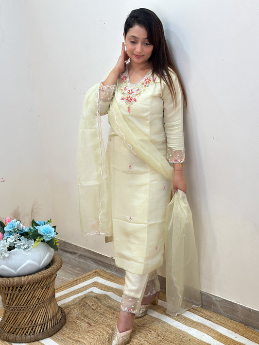 Elegant Embroidered Kurta Set